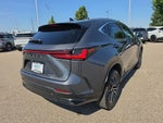2022 Lexus NX 250 Premium